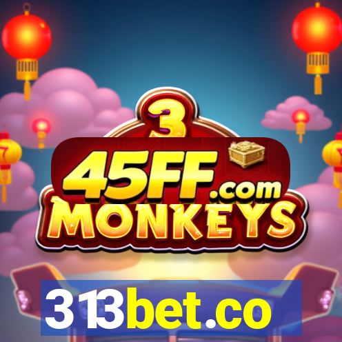 313bet.co