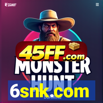 6snk.com