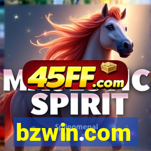 bzwin.com