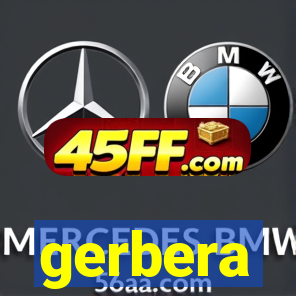gerbera-dh.com