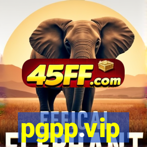pgpp.vip