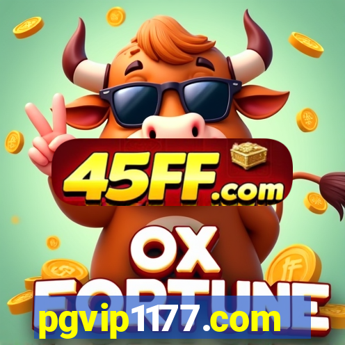 pgvip1177.com
