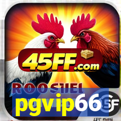 pgvip66