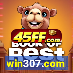 win307.com