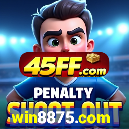 win8875.com