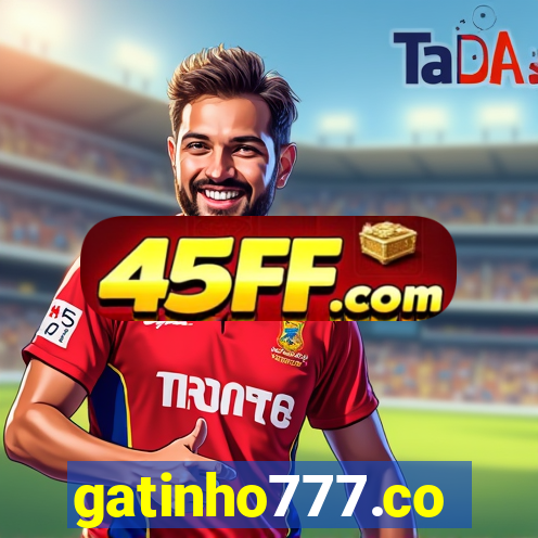 gatinho777.co