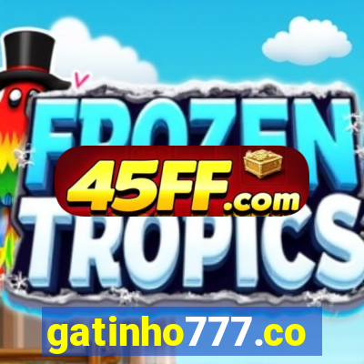 gatinho777.co