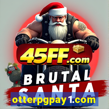 otterpgpay1.com