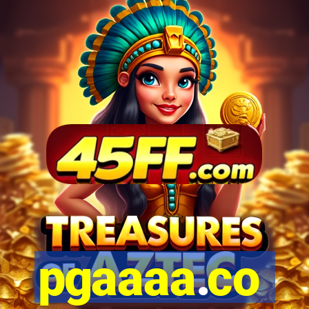pgaaaa.co